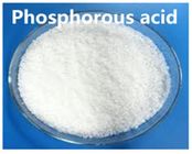 CAS nenhum ISO contínuo cristalino 9001 CHINA do pó do grânulo do ácido 13598 36 2 fosforoso